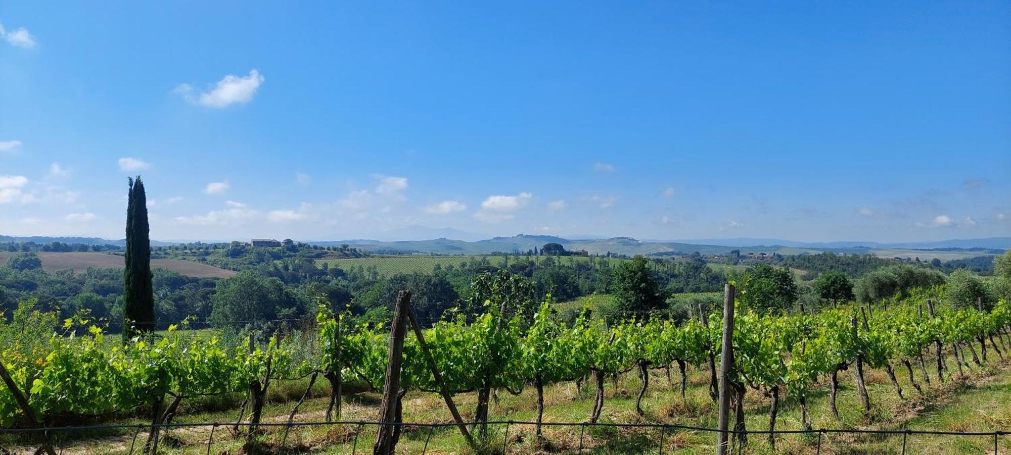 Chianti - Lovely Cottage With Parking & Garden! Castelnuovo Berardenga Exterior photo